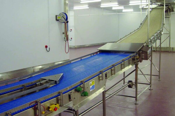 Transfer Conveyors