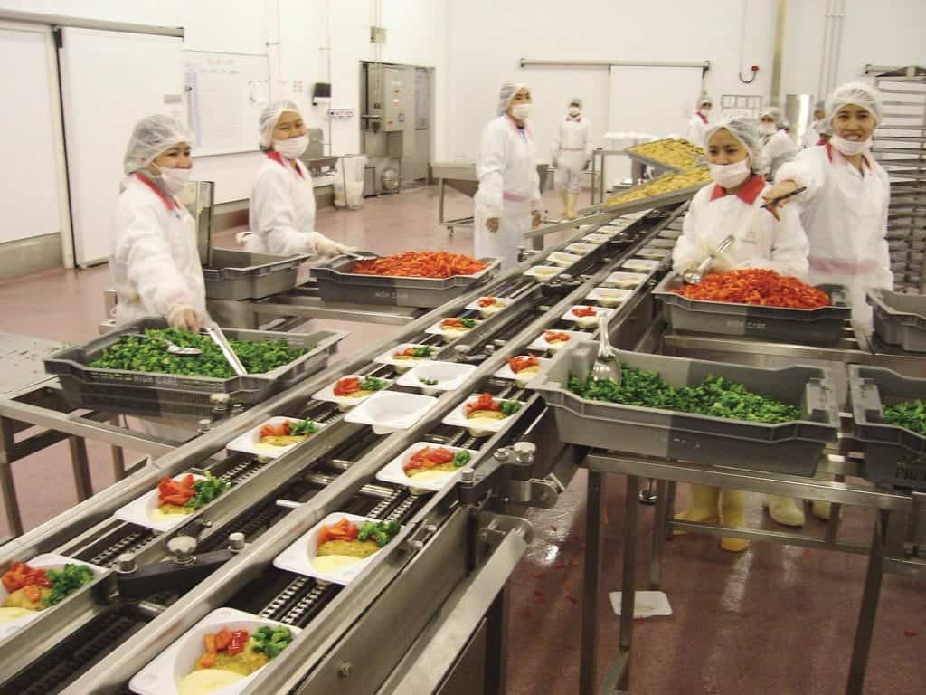 ready meal indexing conveyor