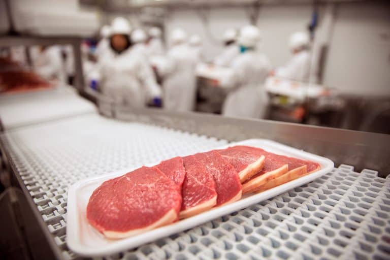 Meat Processing and Poultry Conveyors | Deboning Lines | Unitech