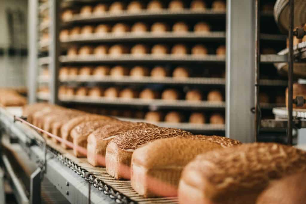 bakery conveyor system