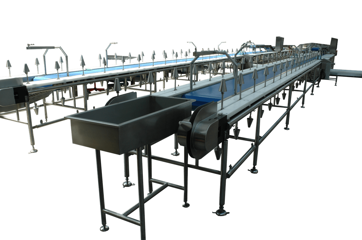 DSC_0057_optimized_2000