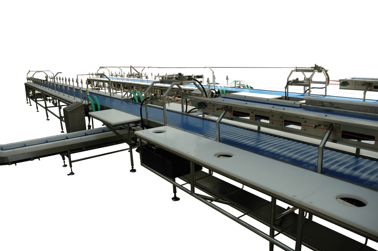 DSC_0069_optimized_2000