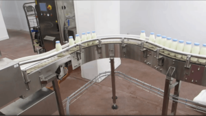 dairy conveyor system