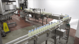 dairy conveyor system